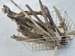 流木　まとめ売り