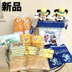 ☆新品☆ディズニー　バケーションパッケージ　ディズニーランドホテル　アメニティ
