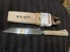 Item thumbnail for item bcd164e7-bfe0-4b6c-8d25-d2f5253884e1