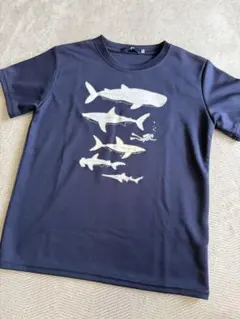 SHIPS Tシャツのサムネイル