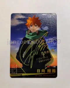 ハイキュー バボカ 日向翔陽 サイン 秘バボ HV-P01-001