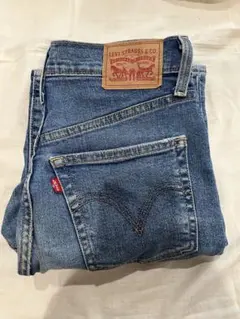 Item thumbnail for item d194046f-dbb0-40c9-8f45-f8fc2ae3ee4e