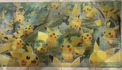 ポケモンカードゲーム ラバープレイマット ピカチュウの森のサムネイル