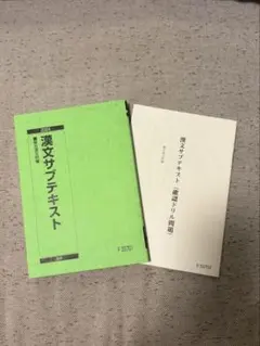 2024 駿台 漢文サブテキスト 駿台漢文科編