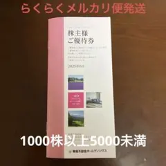 東急不動産ホールディングス株主優待券　1000株以上5000未満