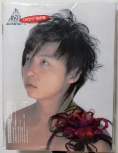 限定盤◇I AND愛CD&DVD/244ENDLI-x堂本剛ENDRECHERI