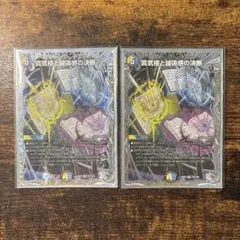 パーフェクトペテンシー 2枚 - メルカリ