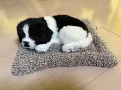 わんちゃん　犬　ぬいぐるみのサムネイル