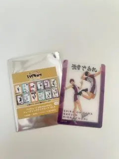 トレーディングカード 10th Anniversary 白鳥沢　牛若&天童