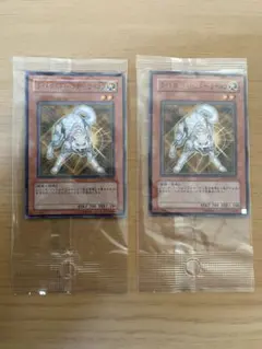 ライトロードハンターライコウ パラレル