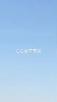 ここあ様専用ページ