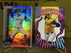 Item thumbnail for item c56b57f7-2c82-466f-8253-b91b69eef613