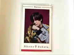 2025年最新】あほの坂田 チェキの人気アイテム - メルカリ