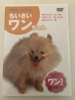 Item thumbnail for item 04f1b8d7-3822-4651-9d0c-9ef18ddce037