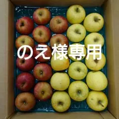 【のえ様専用】