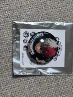 ヒロアカ ガラスマグネットコレクション 轟焦凍