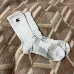 Champion ストライプ ソックス ホワイト