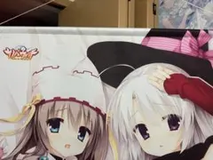 サノバウィッチ　椎葉紬　特大タペストリー　2本セット　ゆずソフト ゆずソフト サノバウィッチ 椎葉紬 タペストリー 2種 セット売り バラ