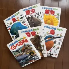 小学館の図鑑NEO 6冊セット