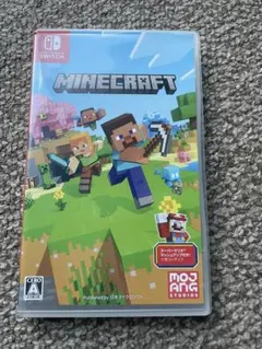 Minecraft Nintendo Switch