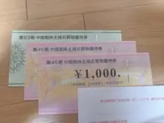 ビックカメラ コジマ お買物優待券 3000円分