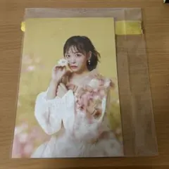 櫻井優衣 撮り下ろしチェキ + LARMEポストカード + トレカ 🫐 𝙋 𝙍 𝙀 𝙎 𝙀 𝙉 𝙏 𝐋𝐀𝐑𝐌𝐄 𝟎𝟓𝟗オフショット