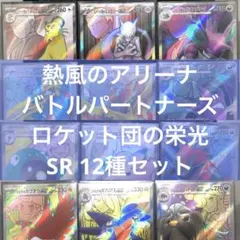 【シングル販売】◯◯のポケモンex SR 12種コンプセット