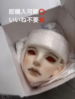 KanaDoll No.17 Ellis ヘッド ホワイトスキン