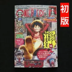 10⭐️初版 即完売【本のみ1冊】ワンピースマガジン20号 ルフィ カードゲーム
