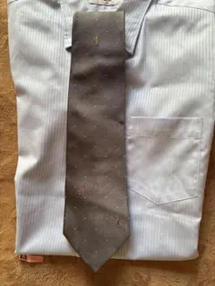 Item thumbnail for item a72c7446-e923-41a0-883d-ee4751cf62ba