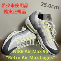 NIKE Air Max 95 