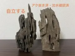 一点物 マシンガンウッド 4本セット 2026年最新】マシンガンウッドの人気アイテム - メルカリ