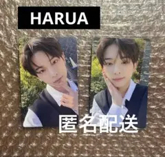 &TEAM MoM プレミアムサイン会 スプサ プレサ トレカ HARUA