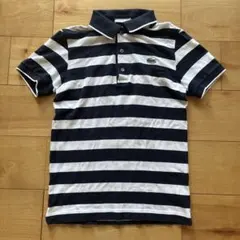 【LACOSTE】ラコステ ボーダー ポロシャツ 紺×白 サイズ2