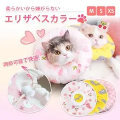 Item thumbnail for item 377a66b3-52f0-4ce5-b612-15eefd848c1e