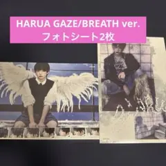 &TEAM HARUA GAZE/BREATH ver. フォトシート2枚