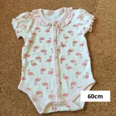 ベビー　ニシキ　フラミンゴ柄　ボディースーツ　60cm