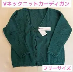 綺麗めVネック❣️カーディガン 長袖 グリーン レディース ニット 秋冬 シンプル