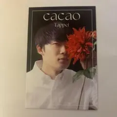 cacao グッズ まとめ売り 2026年最新】CACAO 芸人の人気アイテム - メルカリ