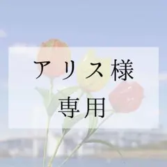 アリス様専用（オーダー品ご購入ページ）