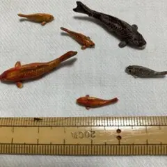 とても小さな鯉の置物6個のサムネイル