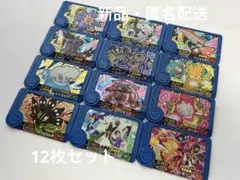 ポケモンフレンダ　ベストタッグ5弾　トレジャー　まとめ売り