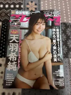 週刊プレイボーイ 2025年48.49号