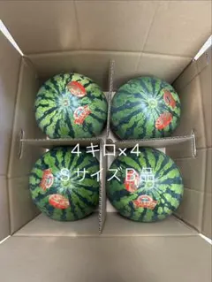 4kg×4玉 農家直送 祭りばやし Sサイズ B品 家庭用 訳あり 4kg×4玉 農家直送 祭りばやし Sサイズ B品 家庭用 訳あり - メルカリ