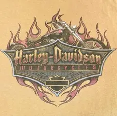 『Harley-Davidson』Tシャツ 鬼フィード体感Lサイズ