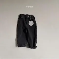 digreen / standard denim pants