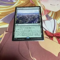 バーシンセー MTG TLA