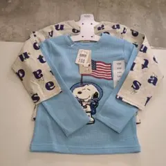 Item thumbnail for item 58d6ba13-9382-4736-9b3d-e9121b483b3c