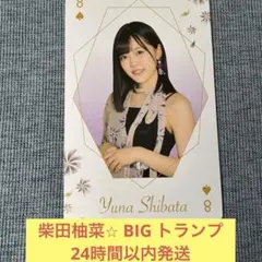 2025年最新】乃木坂トランプの人気アイテム - メルカリ