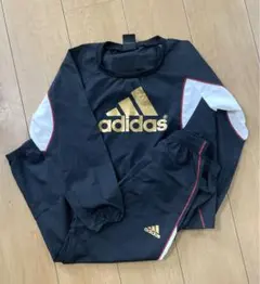 Item thumbnail for item d51838e8-935b-49fe-bcaa-4f6c6fcc2685